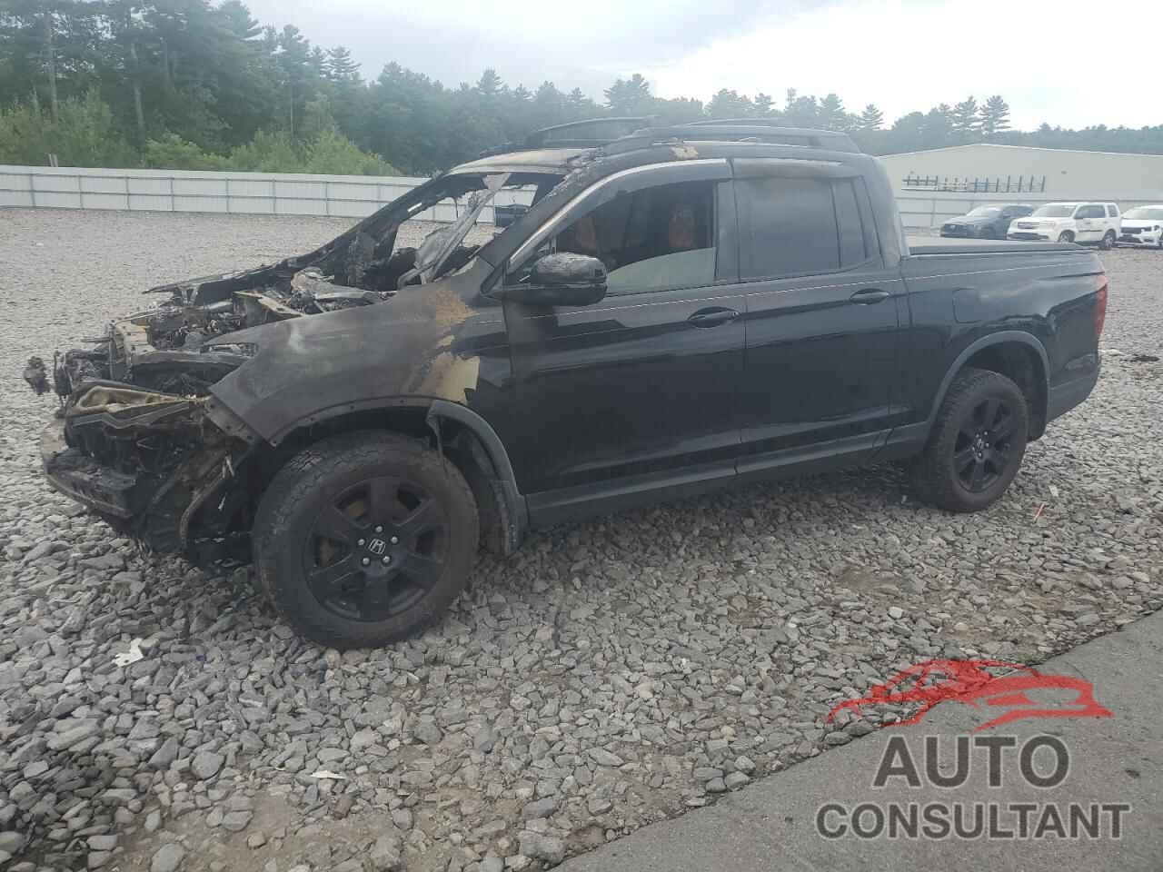 HONDA RIDGELINE 2018 - 5FPYK3F81JB008548