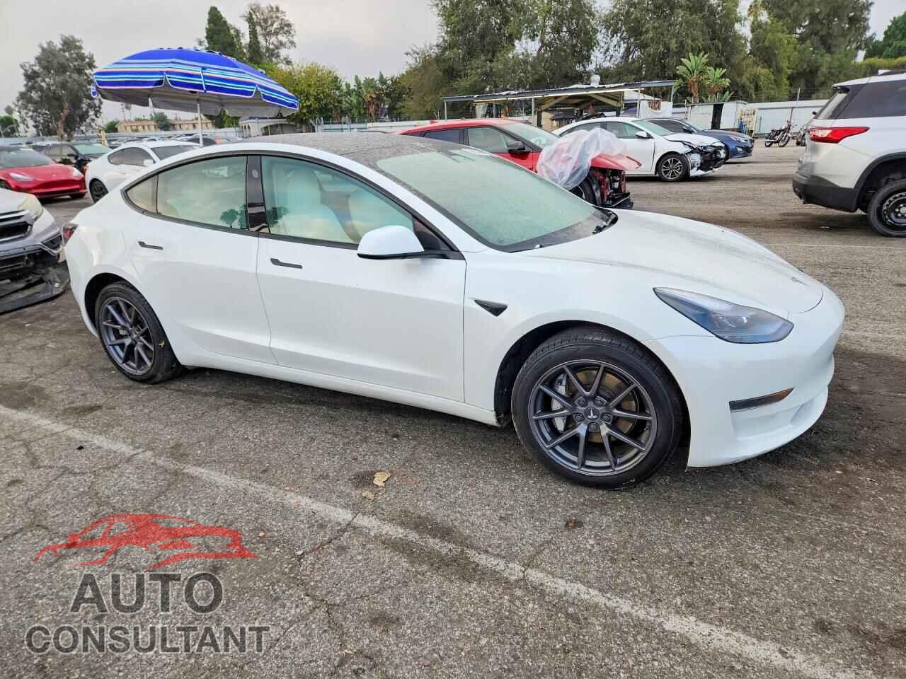 TESLA MODEL 3 2021 - 5YJ3E1EA8MF028836