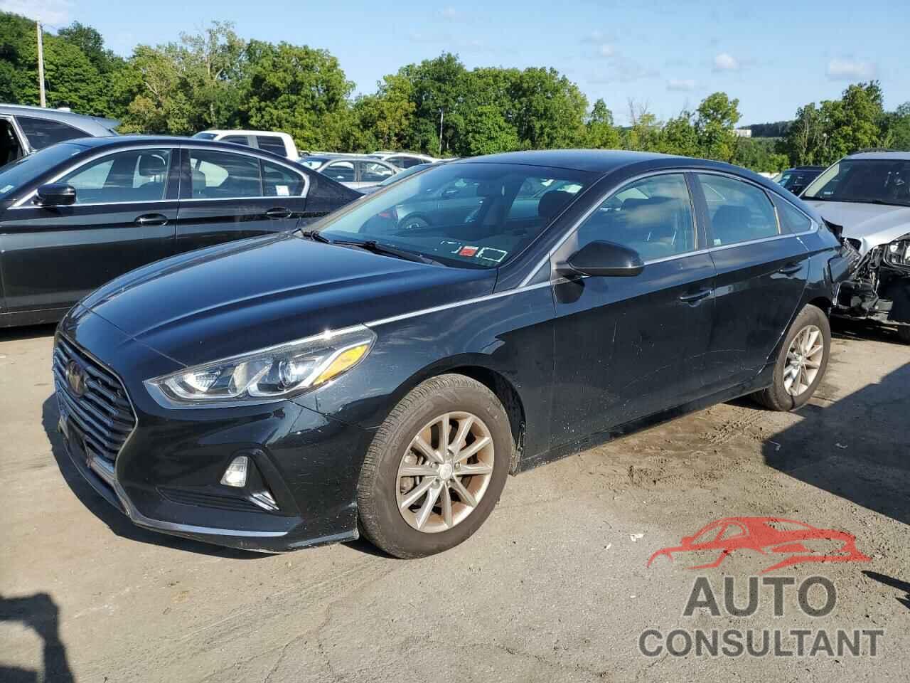 HYUNDAI SONATA 2019 - 5NPE24AF4KH748430