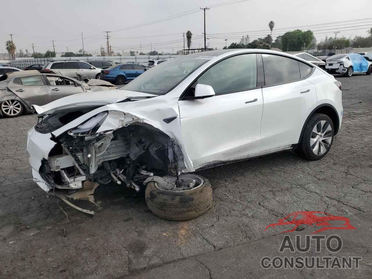 TESLA MODEL Y 2021 - 5YJYGDEE6MF285286