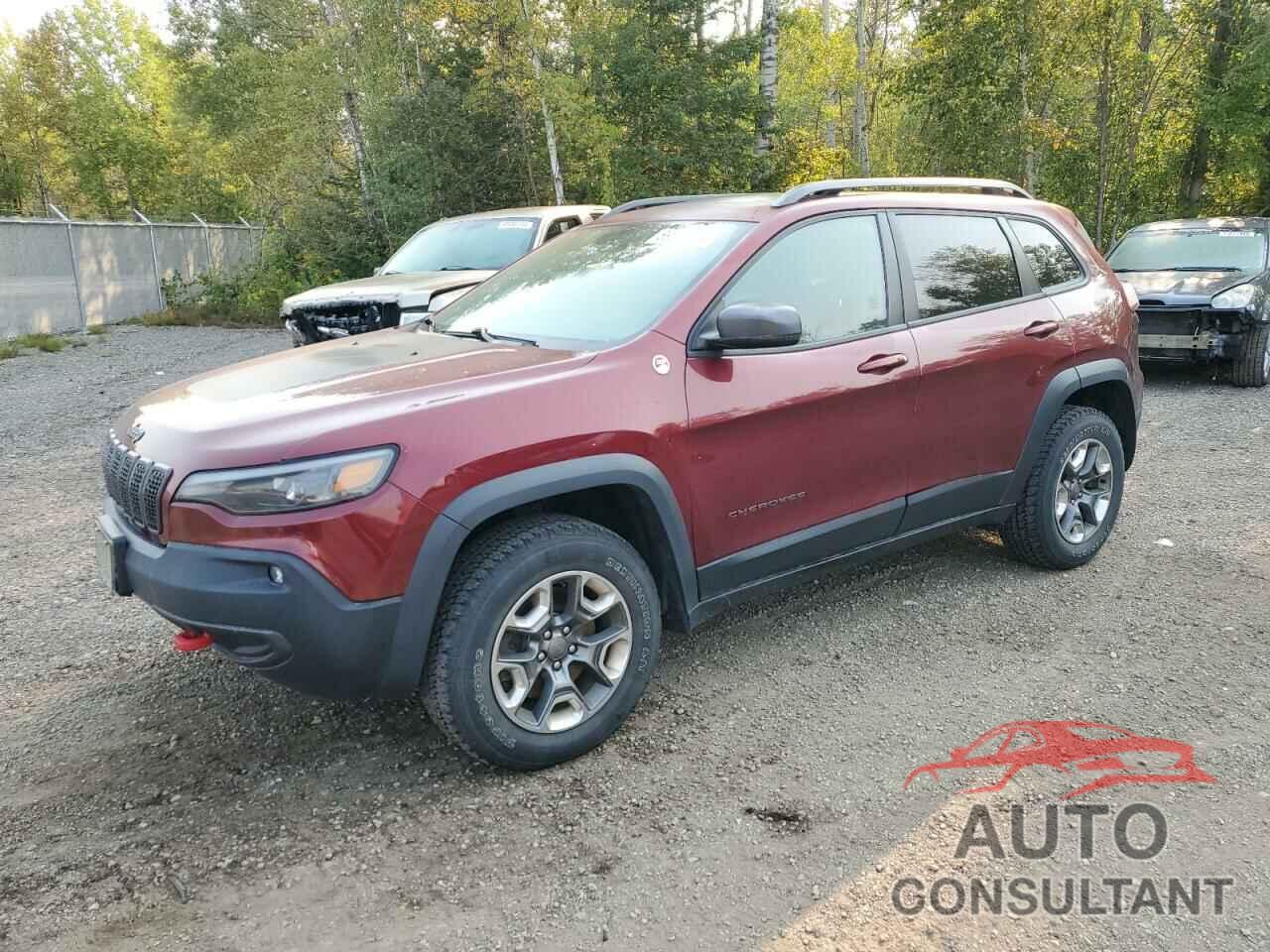 JEEP CHEROKEE 2019 - 1C4PJMBX9KD210167