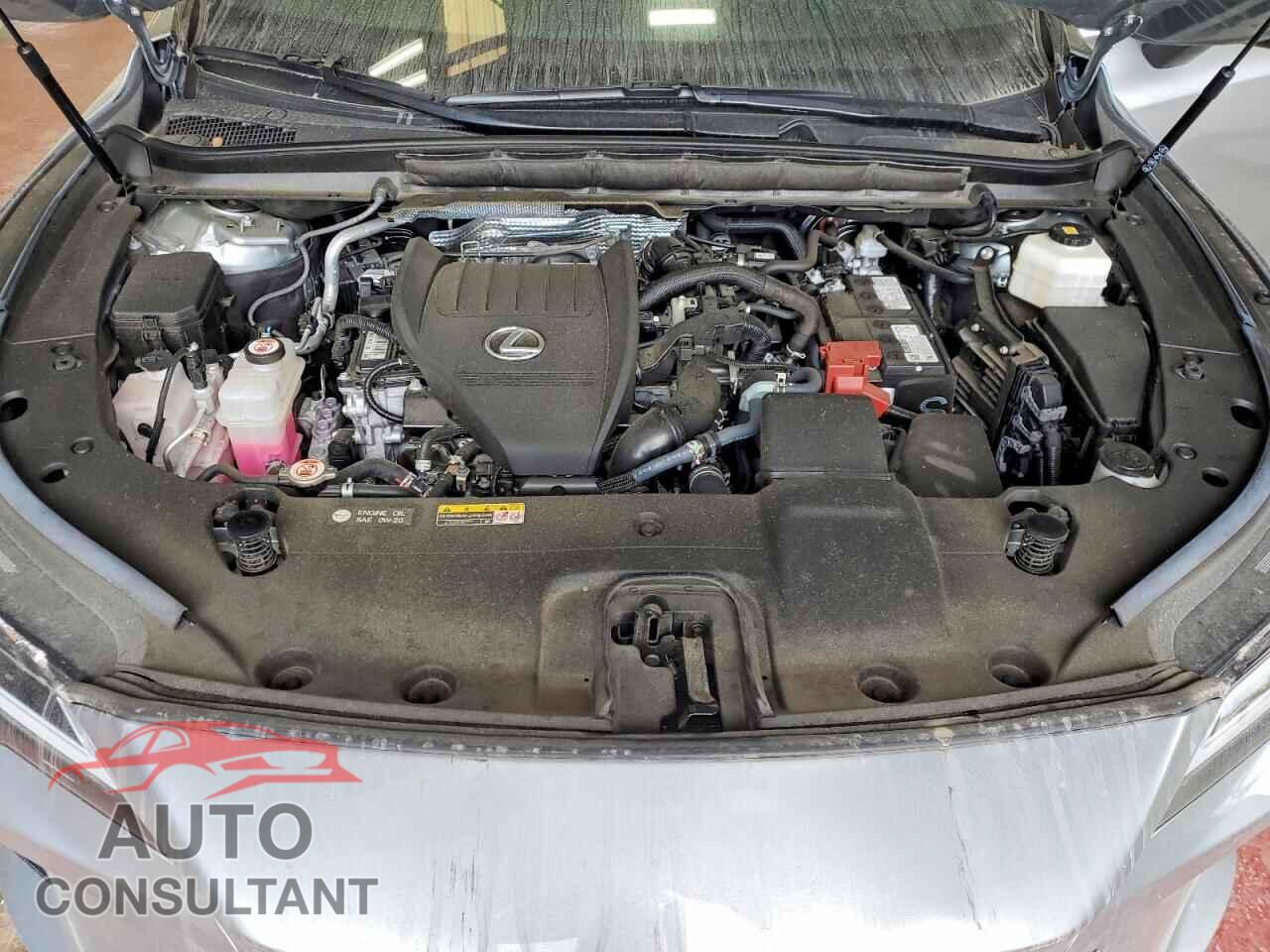 LEXUS RX350 2024 - 2T2BAMCA2RC071720