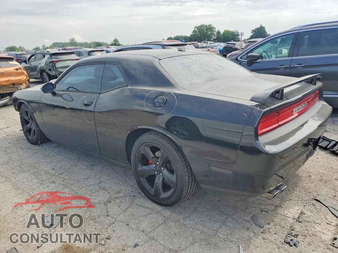 DODGE CHALLENGER 2014 - 2C3CDYBT9EH274554