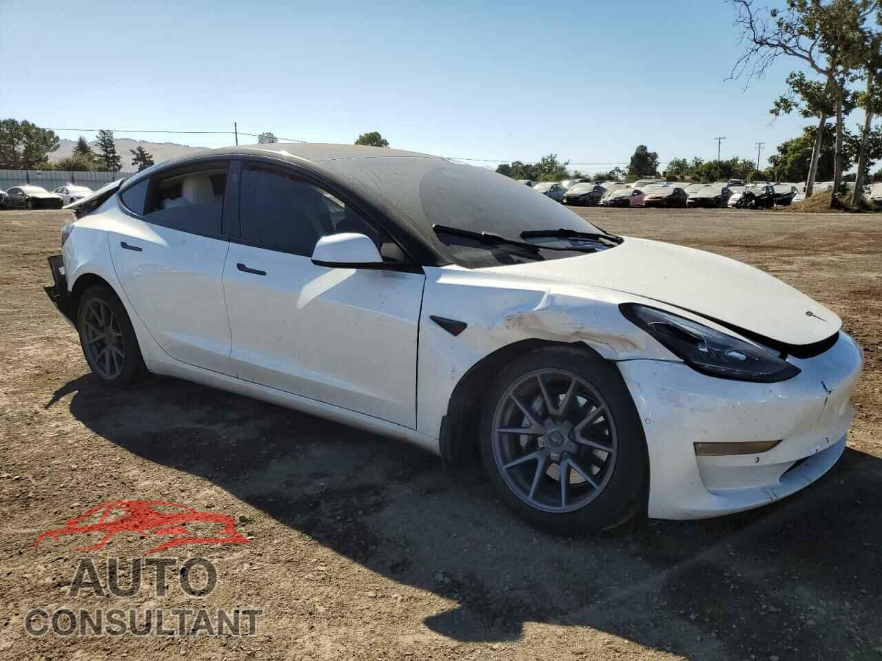 TESLA MODEL 3 2021 - 5YJ3E1EB5MF055341