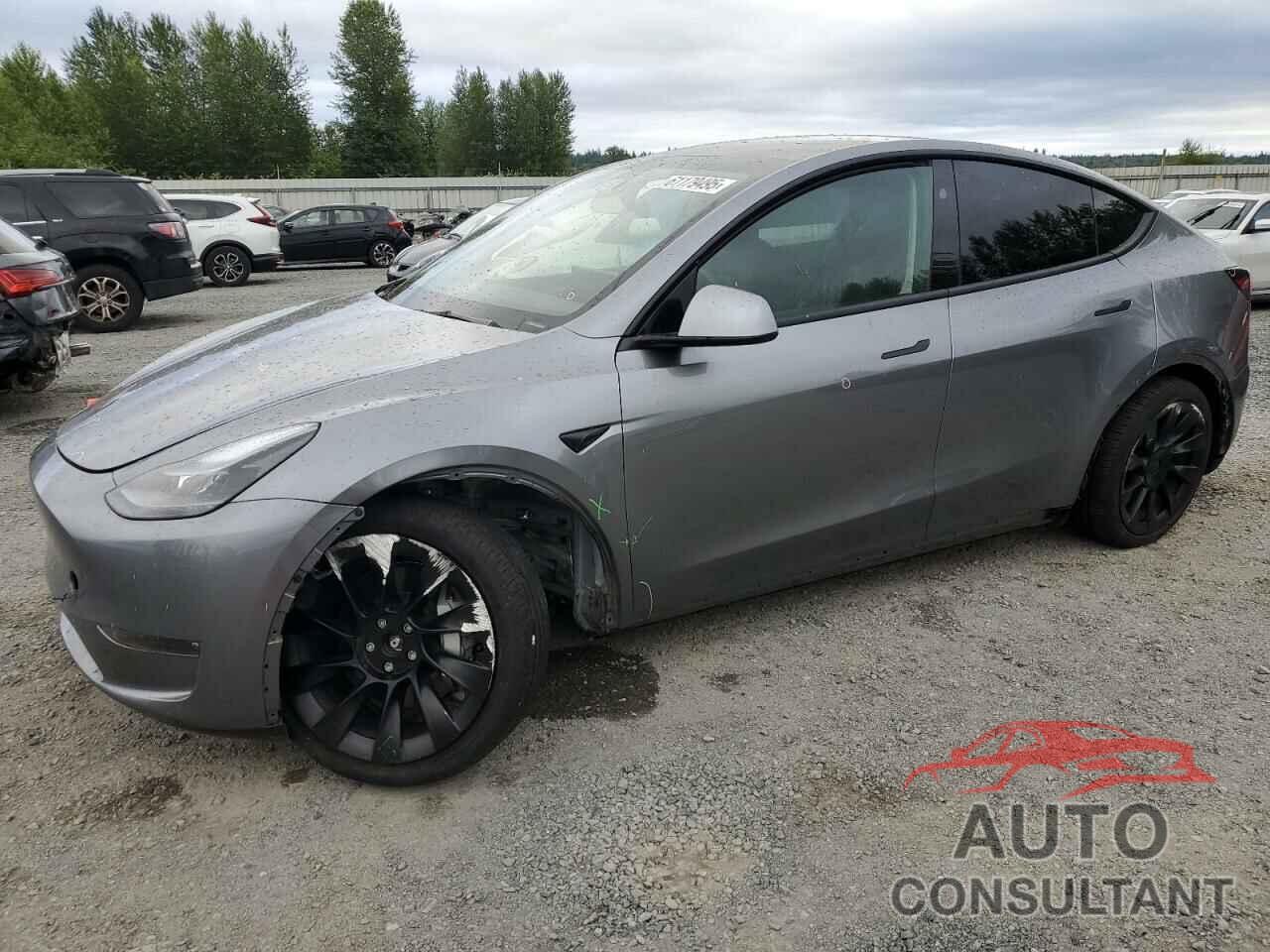 TESLA MODEL Y 2024 - 7SAYGDEE1RF159332