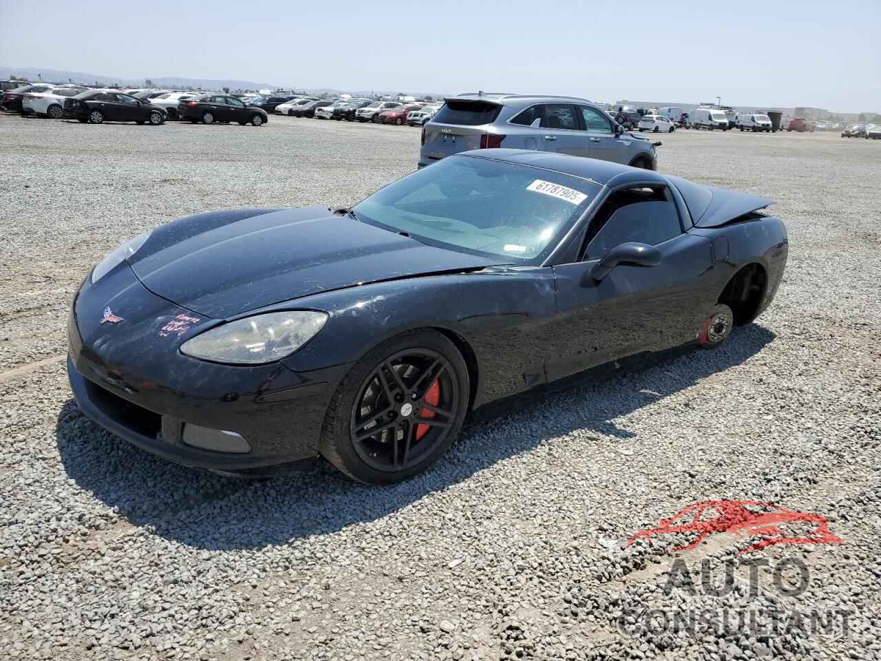 CHEVROLET CORVETTE 2009 - 1G1YY26W695106867