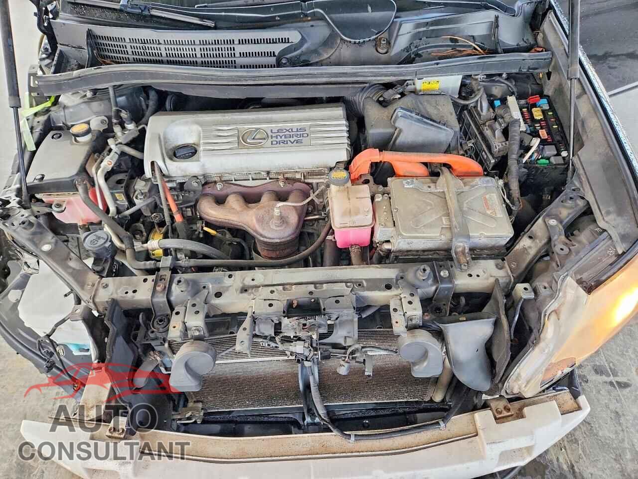 LEXUS HS 2010 - JTHBB1BA3A2014767