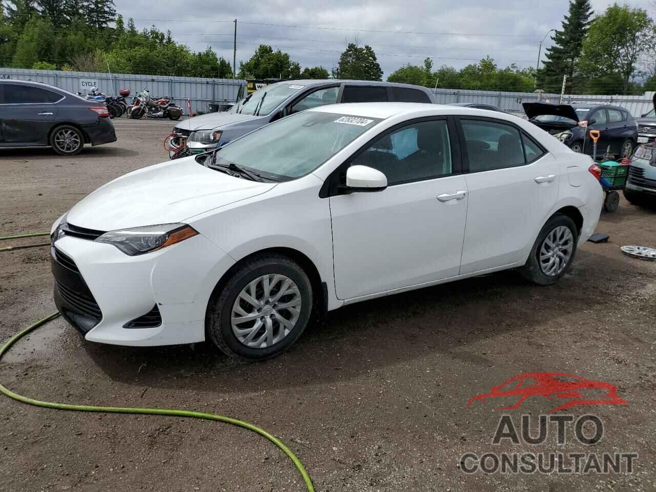 TOYOTA COROLLA 2019 - 2T1BURHEXKC134654