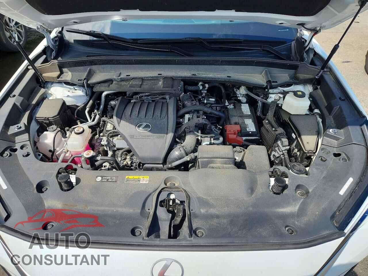 LEXUS UNKNOWN 2024 - 5TDAAAB62RS003887