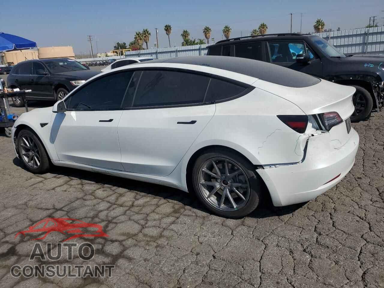 TESLA MODEL 3 2021 - 5YJ3E1EA8MF074893