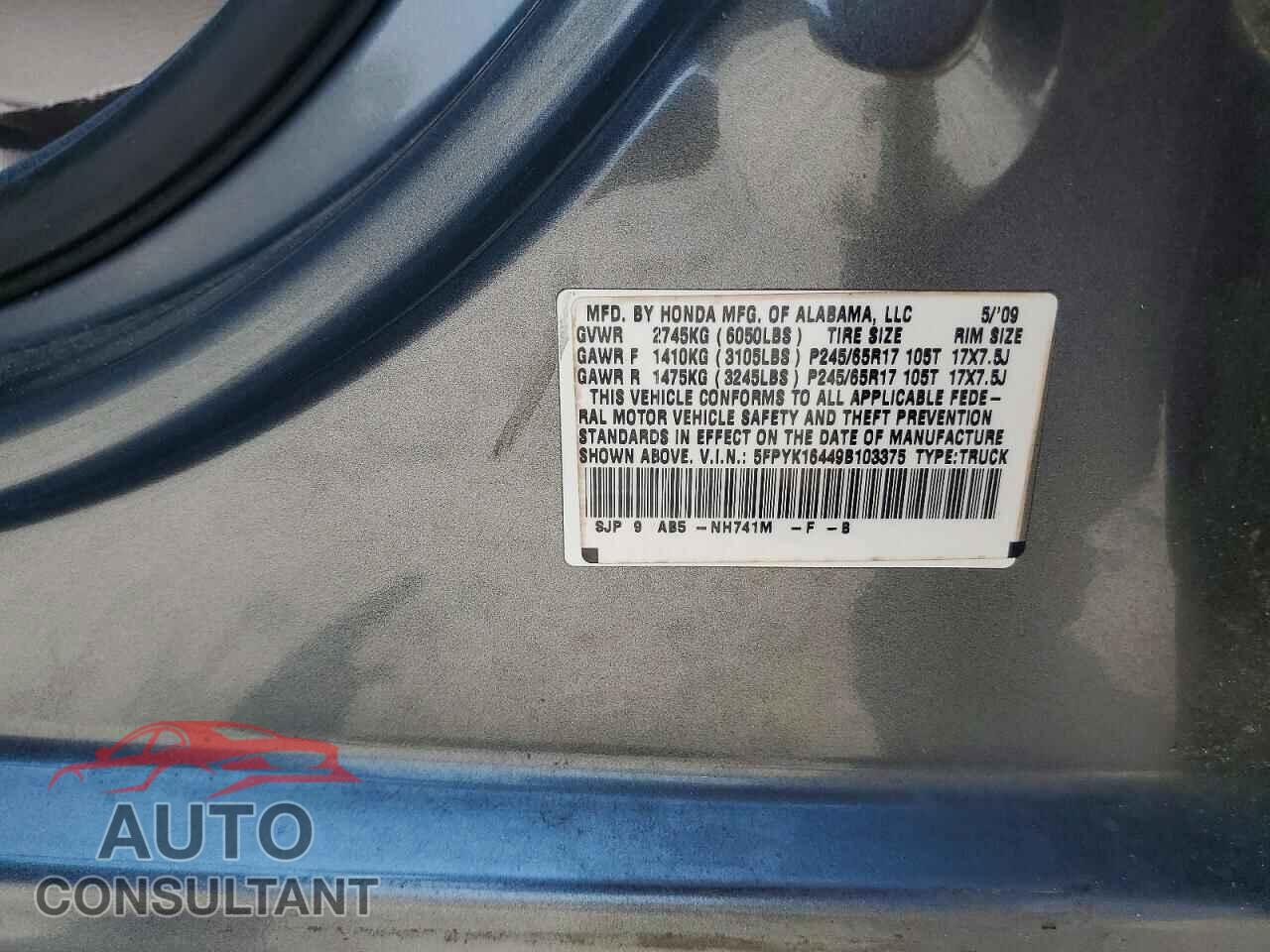 HONDA RIDGELINE 2009 - 5FPYK16449B103375