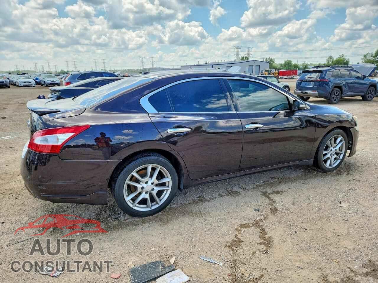 NISSAN MAXIMA 2011 - 1N4AA5AP2BC851928