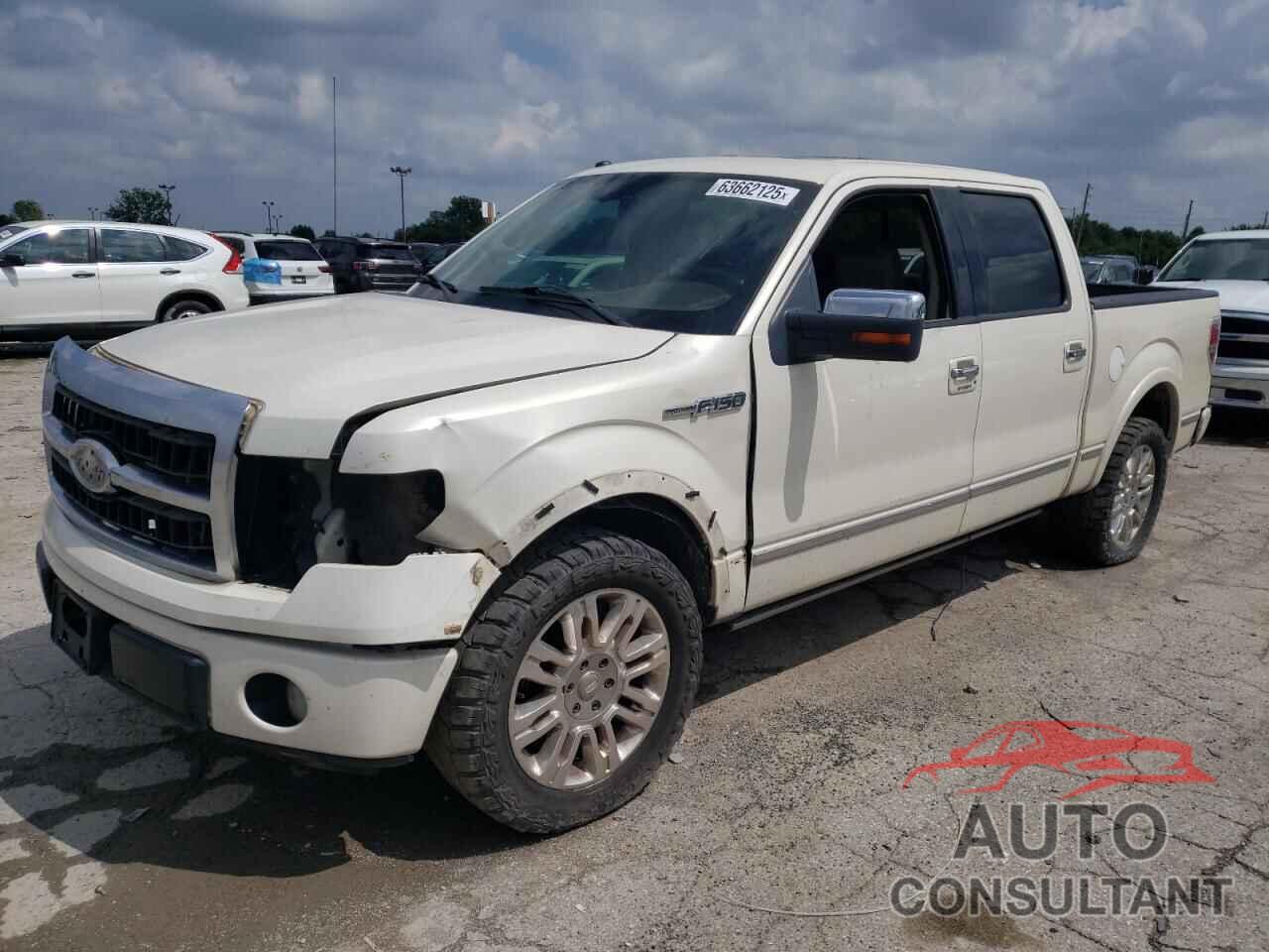 FORD F-150 2009 - 1FTPW12V09FA37331