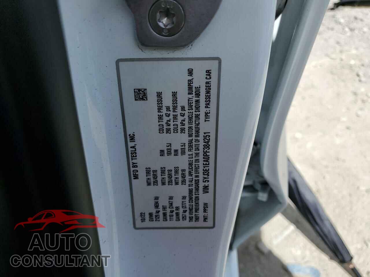 TESLA MODEL 3 2023 - 5YJ3E1EA0PF384251