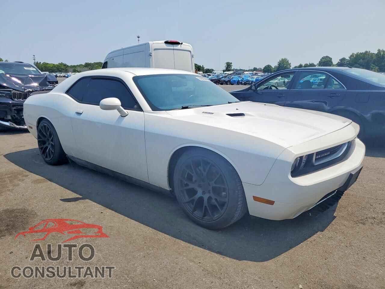 DODGE CHALLENGER 2013 - 2C3CDYBT6DH535315