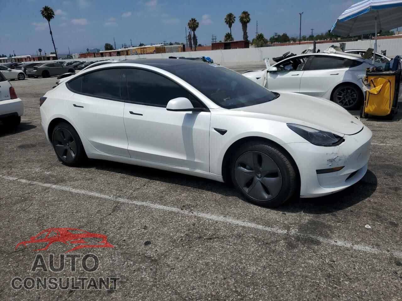 TESLA MODEL 3 2021 - 5YJ3E1EA3MF069441