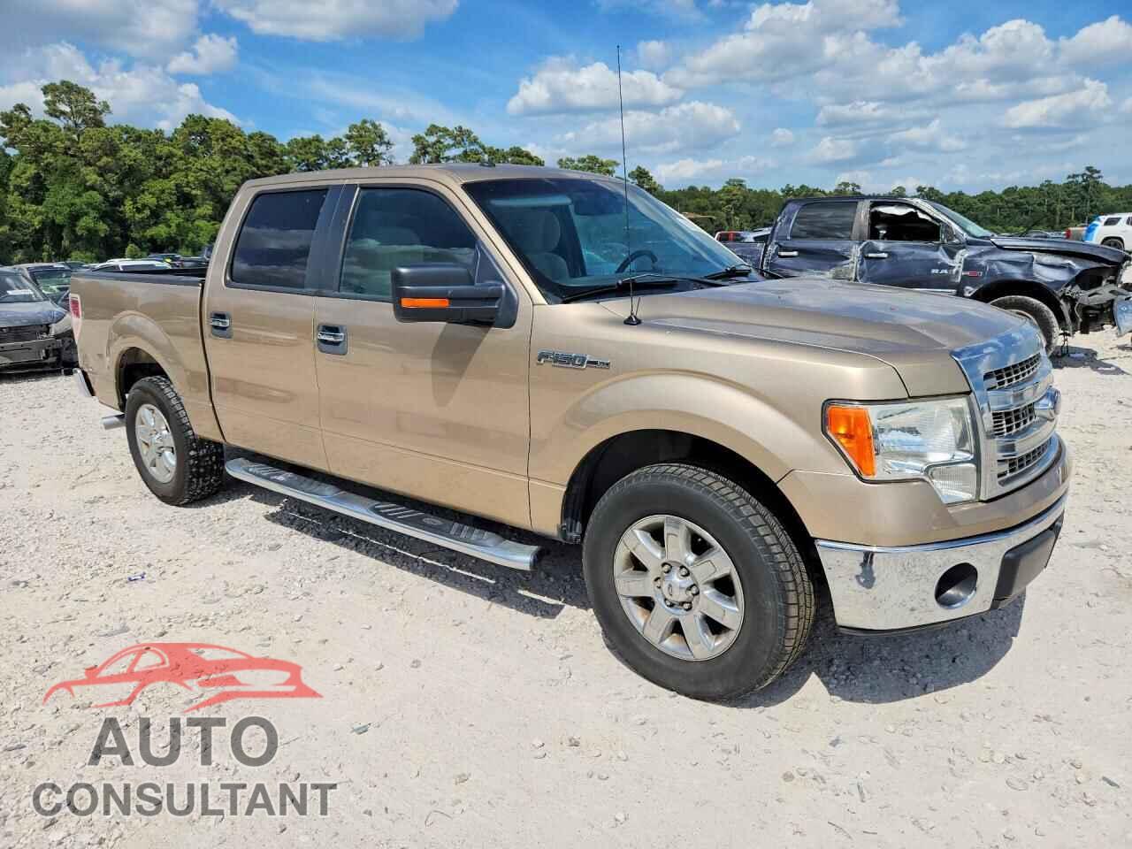 FORD F150 2013 - 1FTFW1CFXDFD55663
