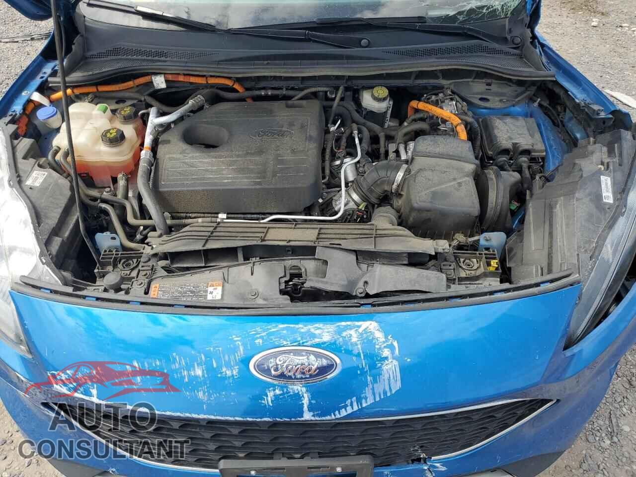 FORD ESCAPE 2020 - 1FMCU9DZ5LUA40288