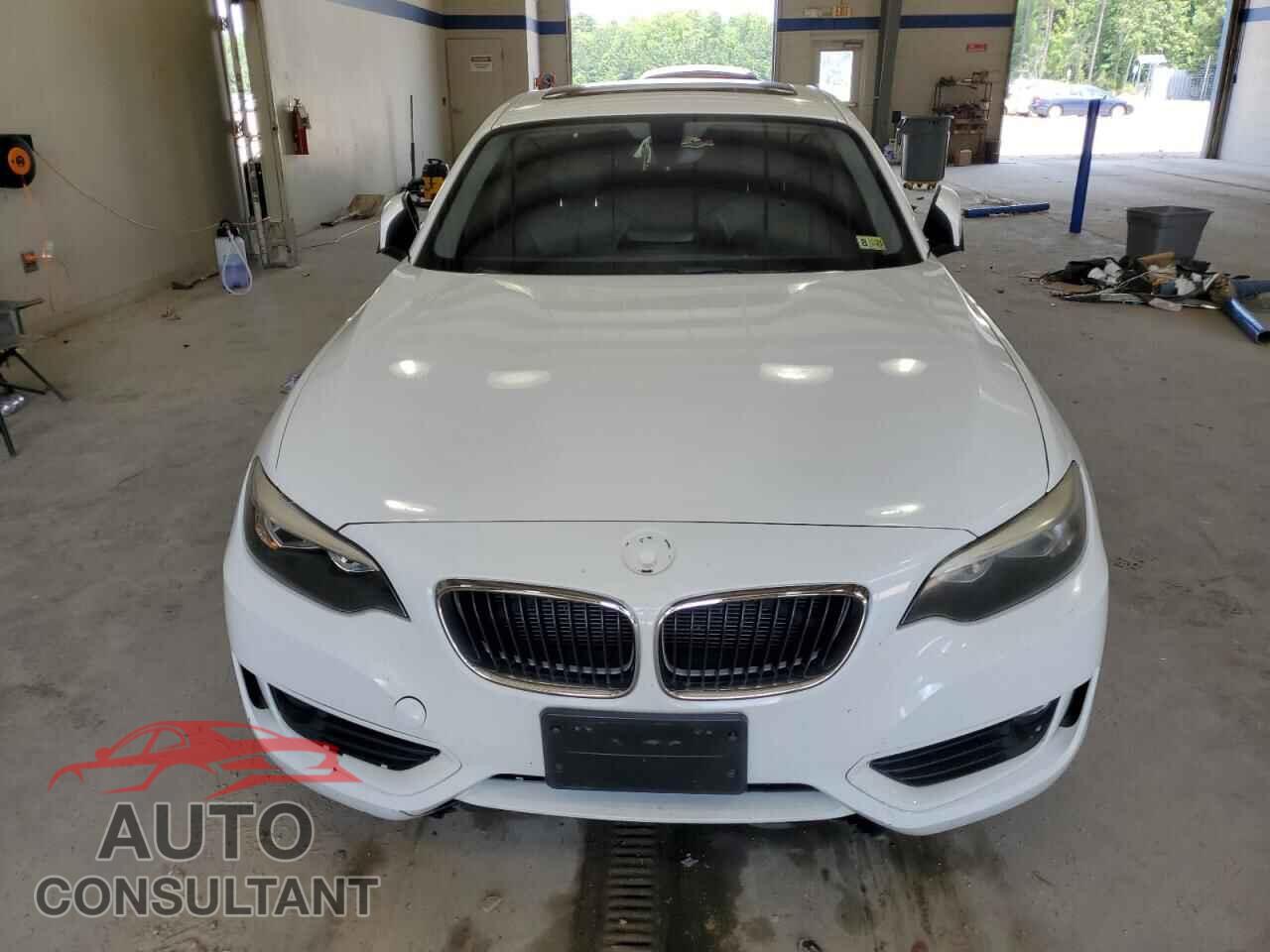 BMW 2 SERIES 2014 - WBA1F5C59EV246334