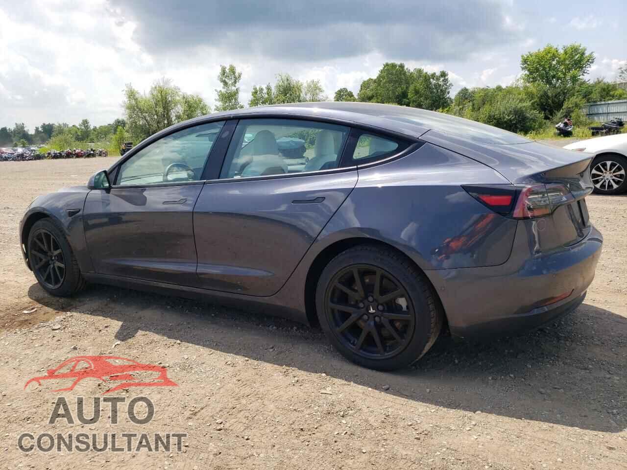 TESLA MODEL 3 2021 - 5YJ3E1EB2MF020109