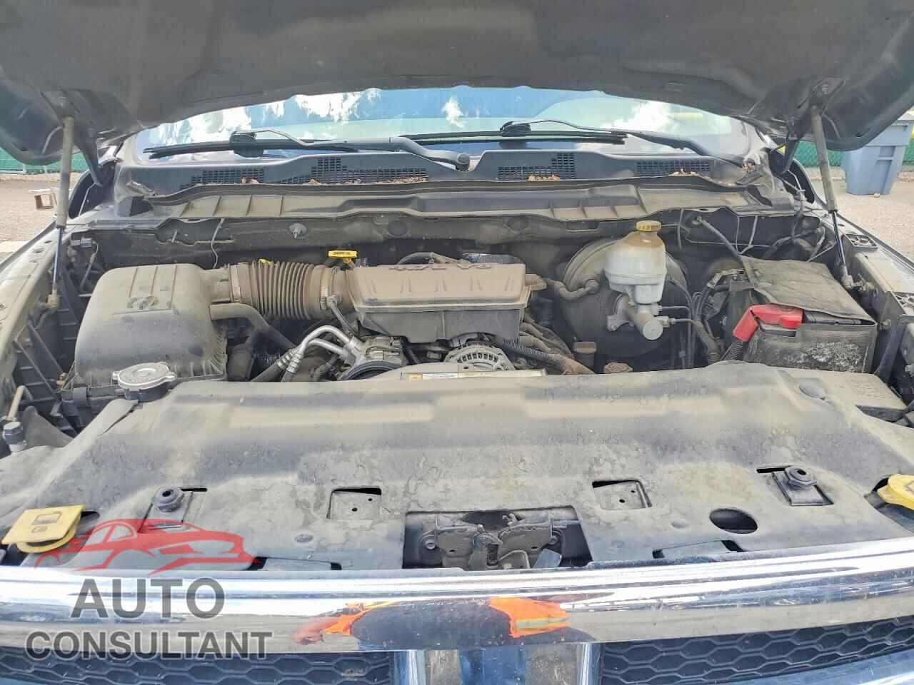 DODGE RAM 1500 2010 - 1D7RB1GP7AS142030