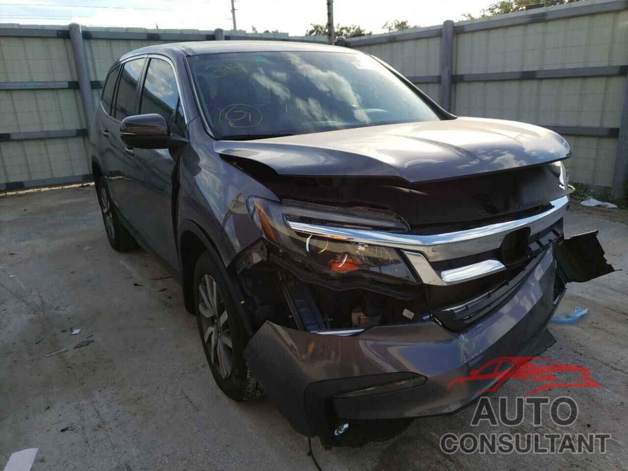 HONDA PILOT 2019 - 5FNYF5H53KB029768