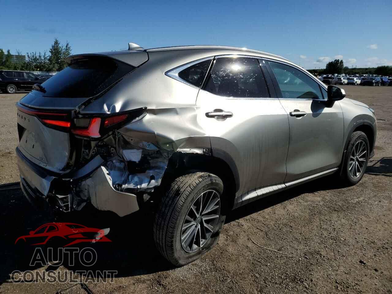 LEXUS NX 250 2023 - 2T2ADCEZ2PC003530