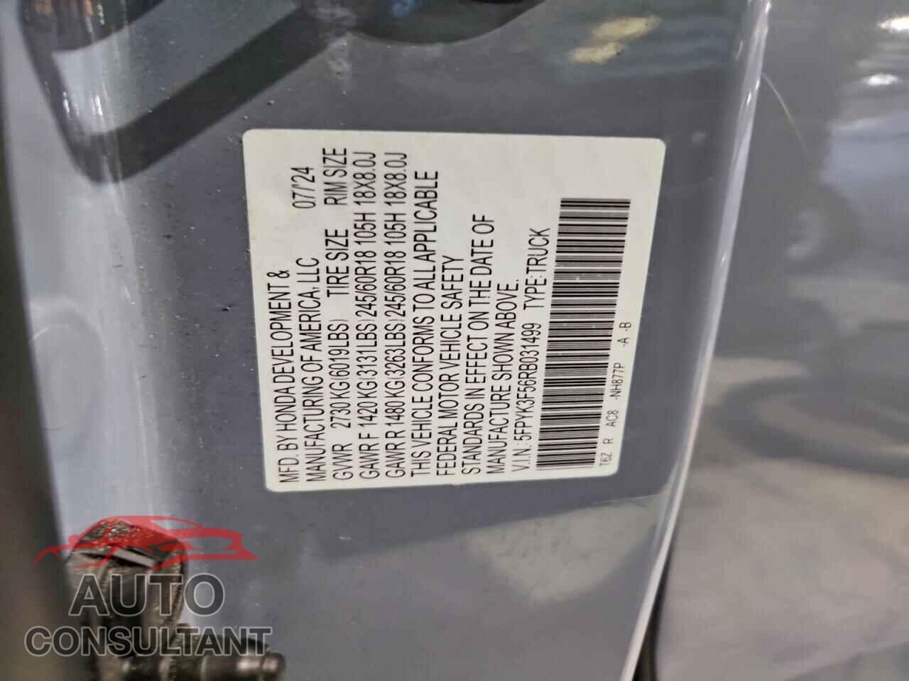 HONDA RIDGELINE 2024 - 5FPYK3F56RB031499