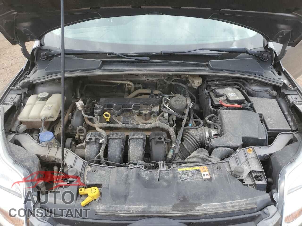 FORD FOCUS 2012 - 1FAHP3F29CL142445