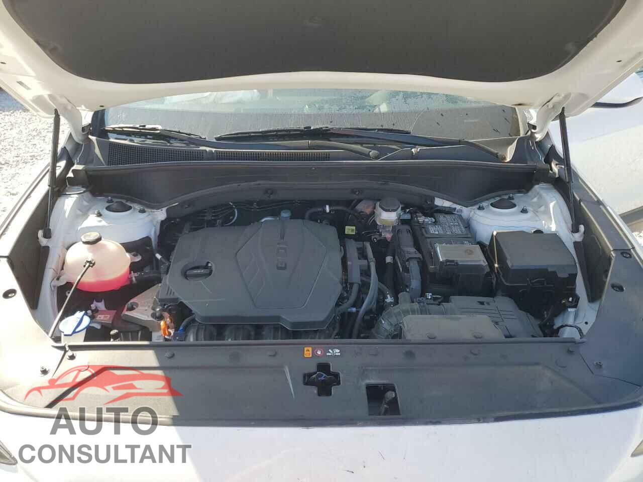 HYUNDAI SANTA FE 2023 - 5NMS14AJ0PH652275