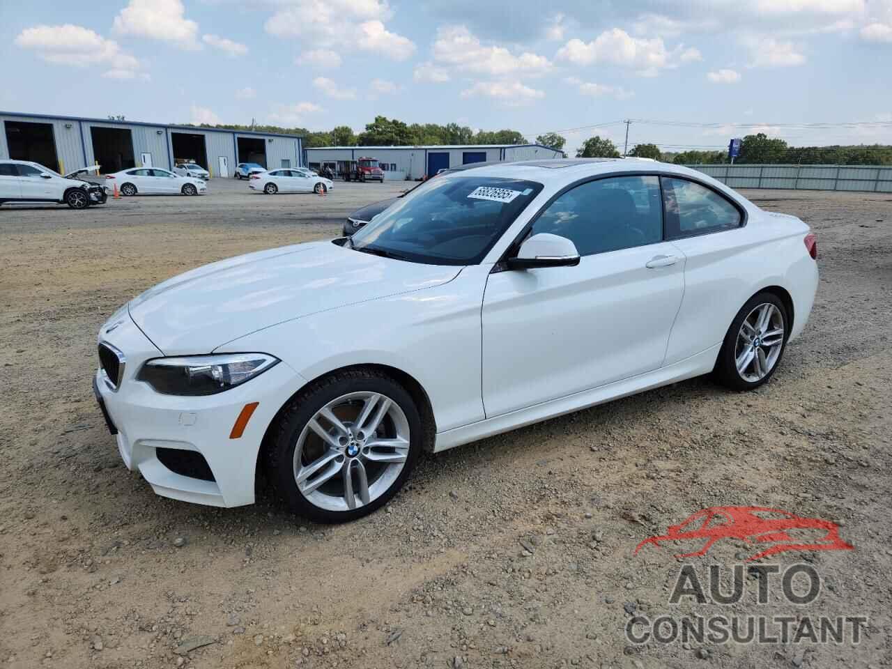 BMW 2 SERIES 2016 - WBA1G9C53GV599546