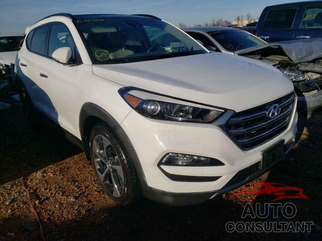 HYUNDAI TUCSON 2016 - KM8J33A22GU054752