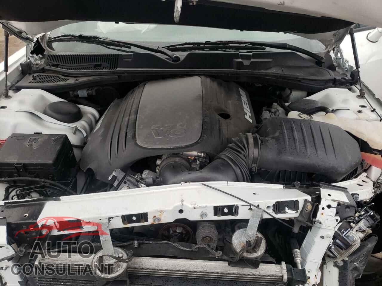 DODGE CHALLENGER 2019 - 2C3CDZBT9KH655337