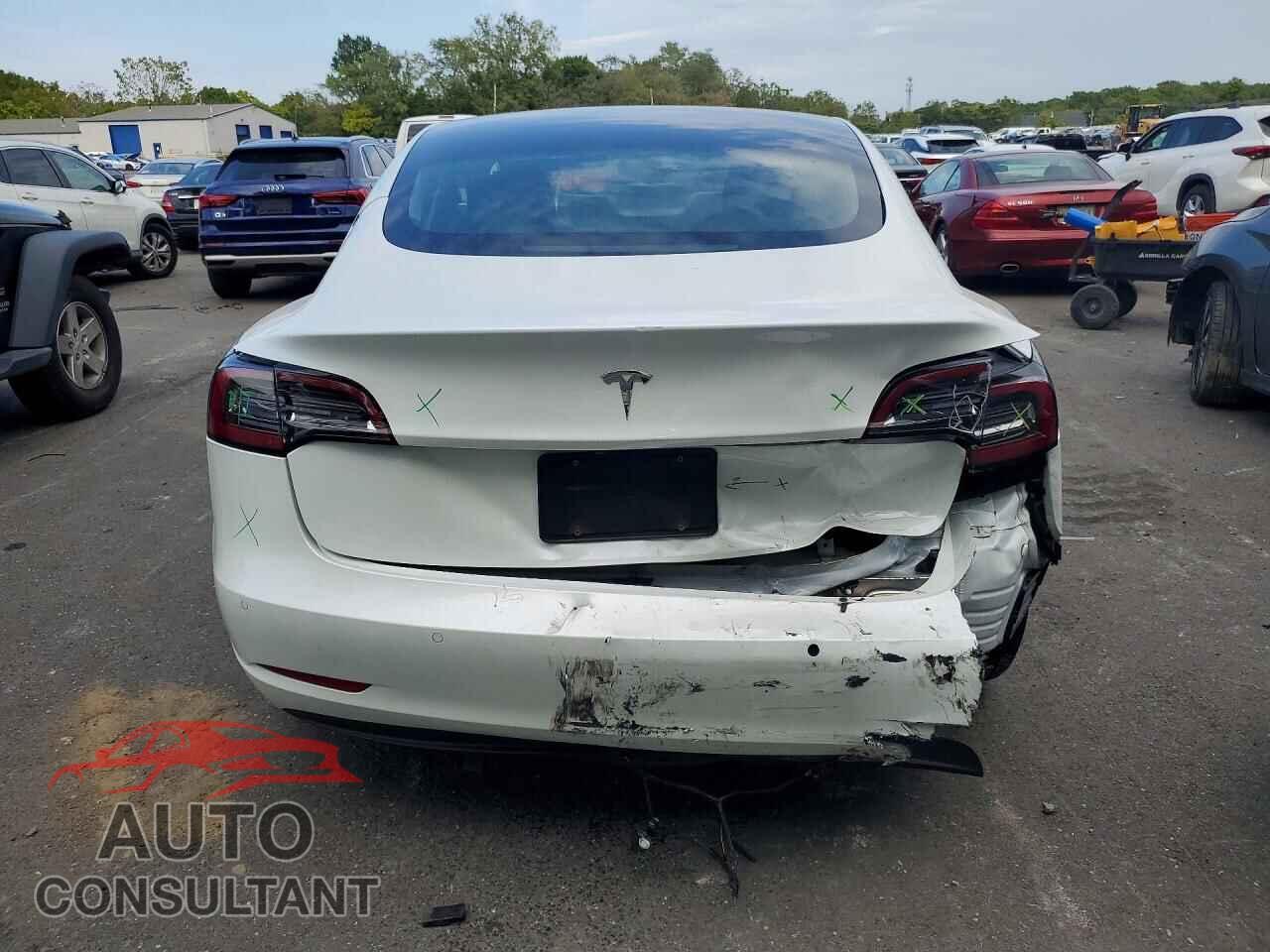 TESLA MODEL 3 2020 - 5YJ3E1EA6LF613459