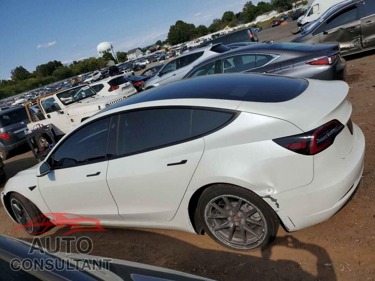 TESLA MODEL 3 2021 - 5YJ3E1EBXMF979130