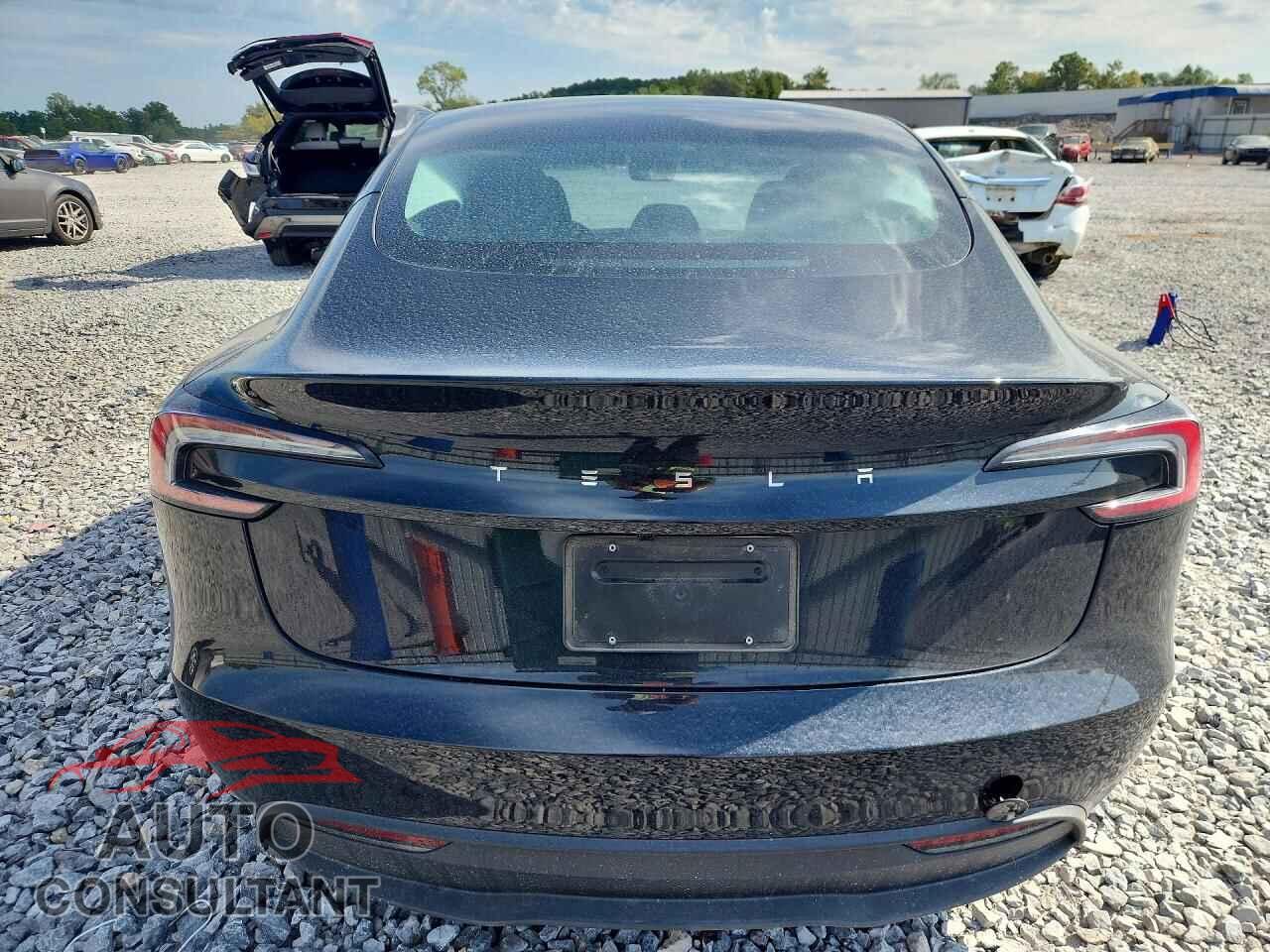 TESLA MODEL 3 2025 - 5YJ3E1EA3SF042138