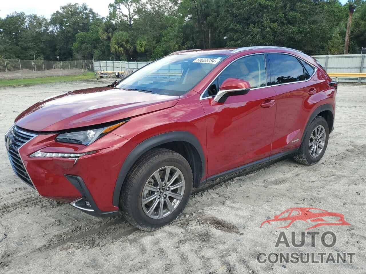 LEXUS NX 2020 - JTJDJRDZ8L5009786