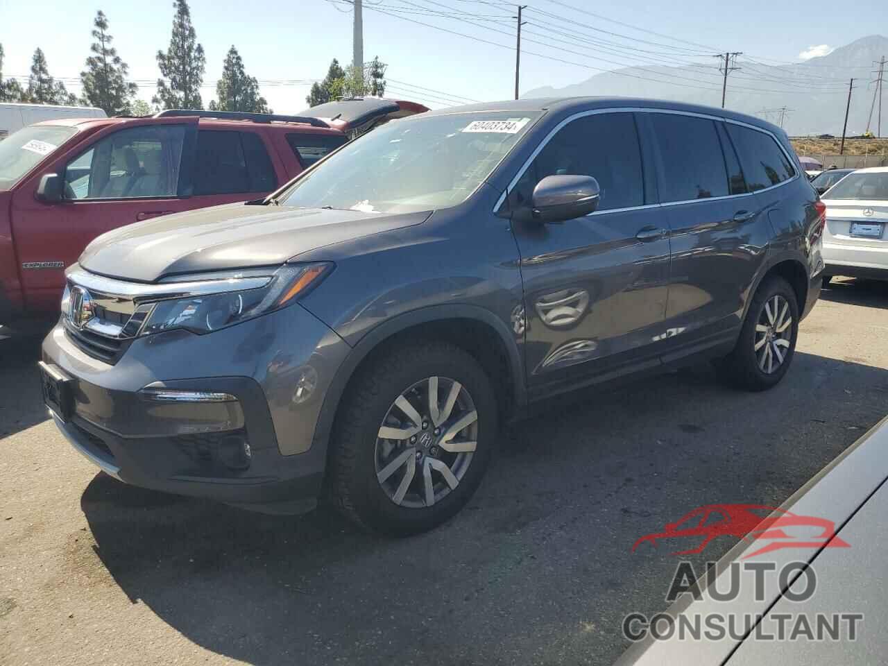 HONDA PILOT 2019 - 5FNYF6H59KB037296