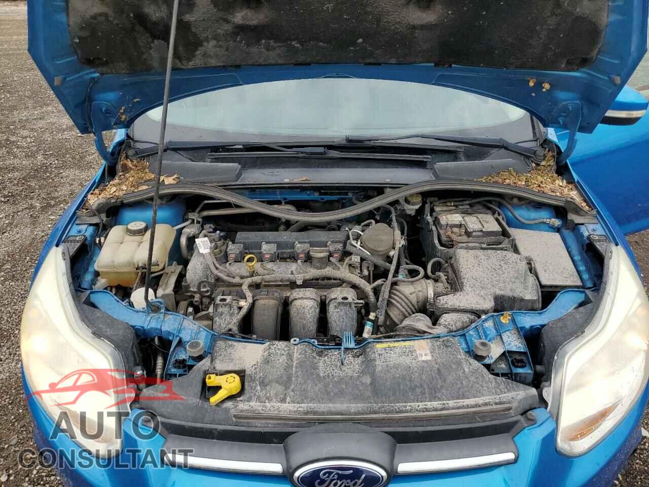 FORD FOCUS 2013 - 1FADP3K21DL132112