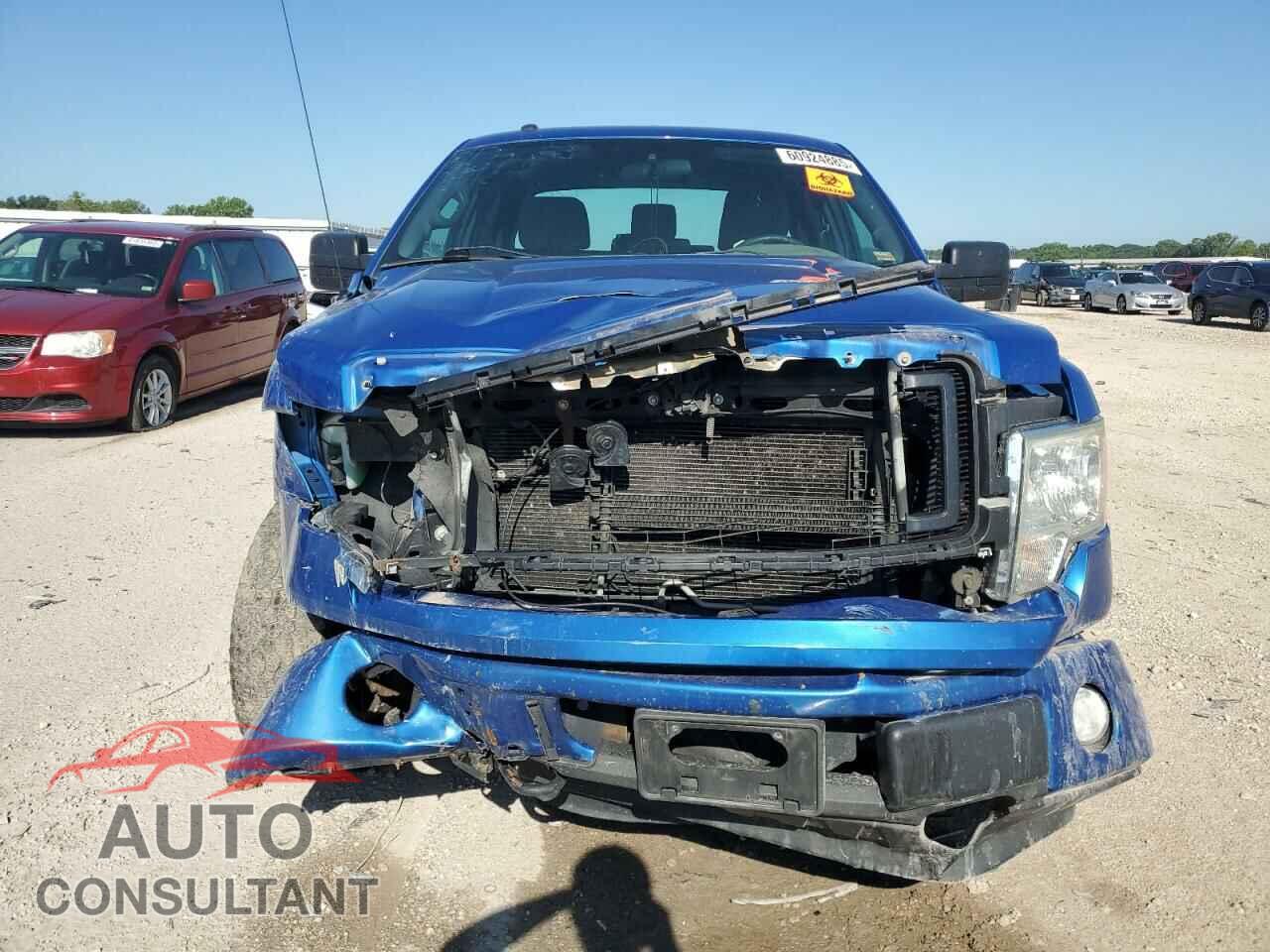 FORD F-150 2013 - 1FTFX1EF7DFB21118