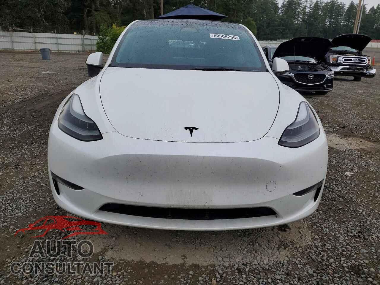TESLA MODEL Y 2023 - 7SAYGDEEXPF682572