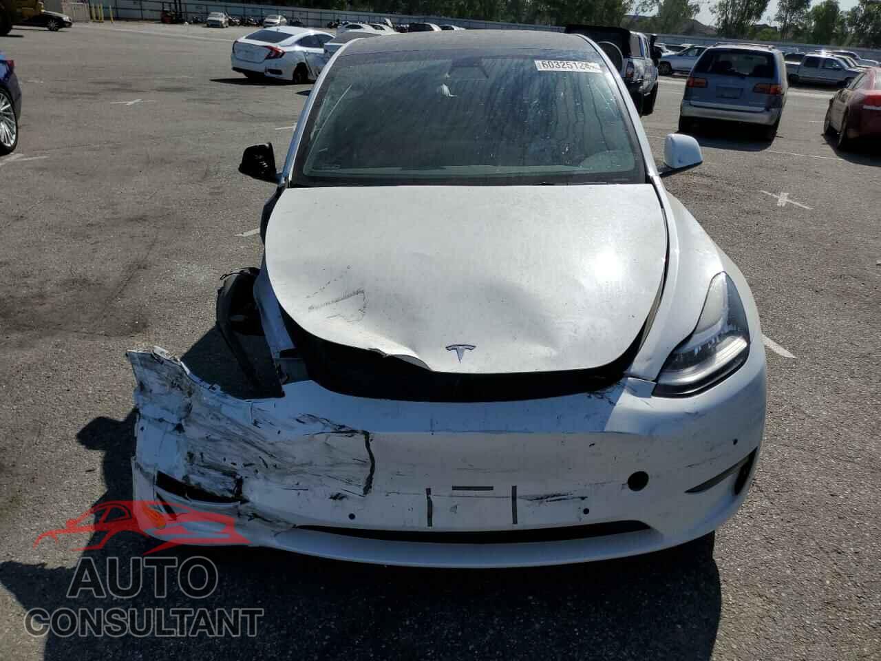 TESLA MODEL Y 2022 - 7SAYGDEE3NF435410