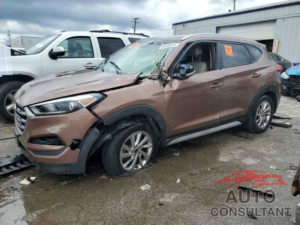 HYUNDAI TUCSON 2017 - KM8J33A49HU533396