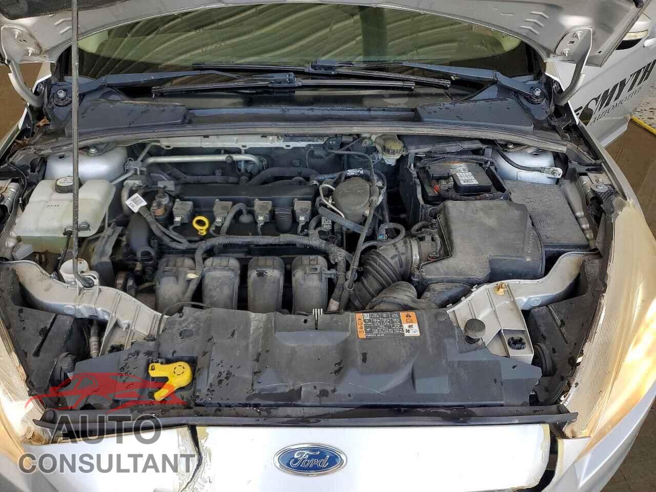 FORD FOCUS 2016 - 1FADP3K20GL247546