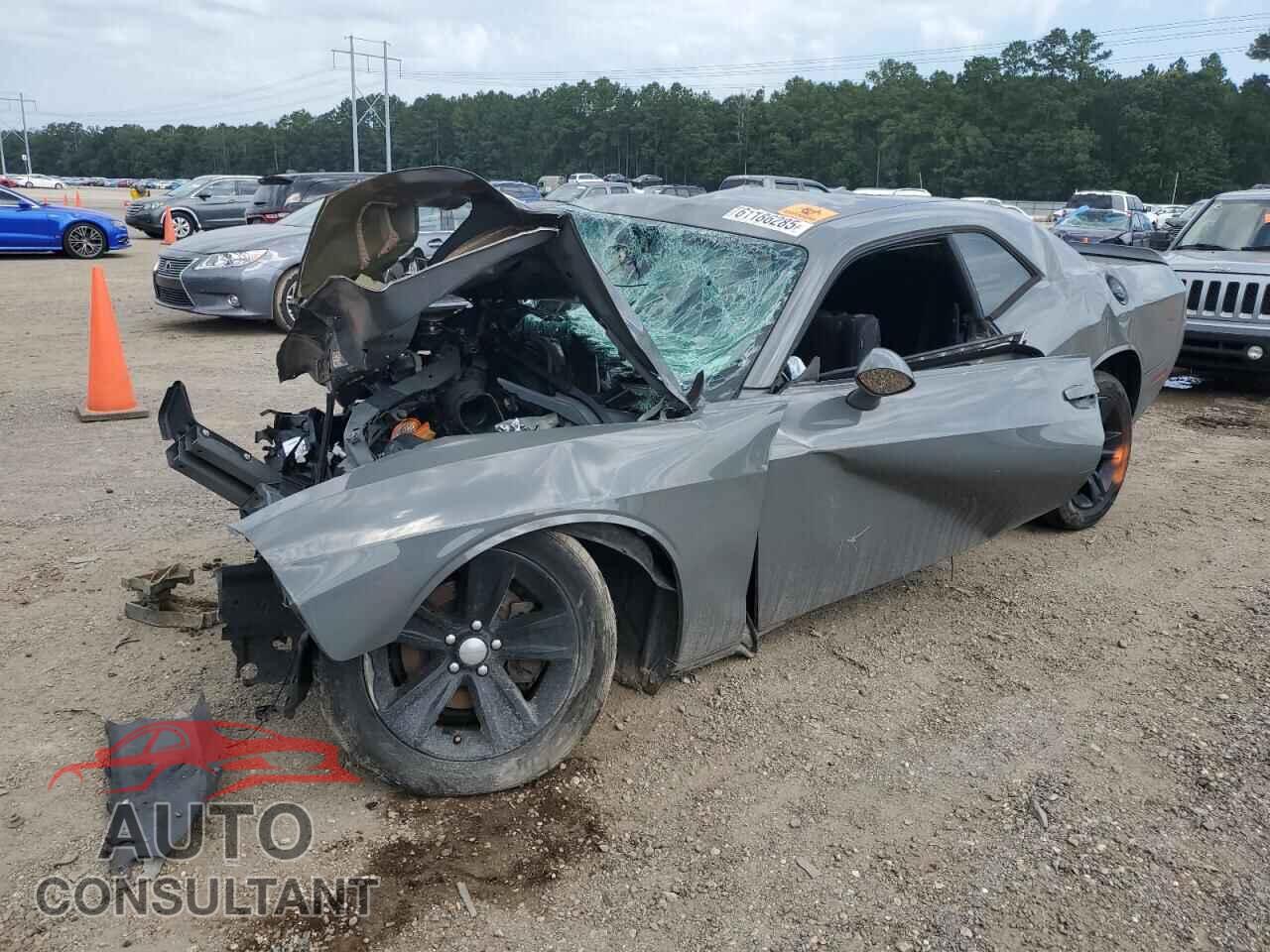 DODGE CHALLENGER 2019 - 2C3CDZAG1KH621008