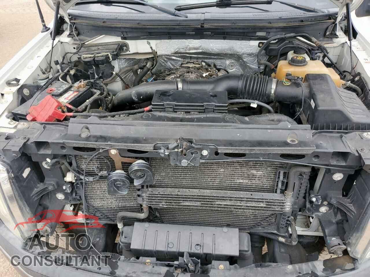 FORD F-150 2012 - 1FTFX1ET2CFD02180