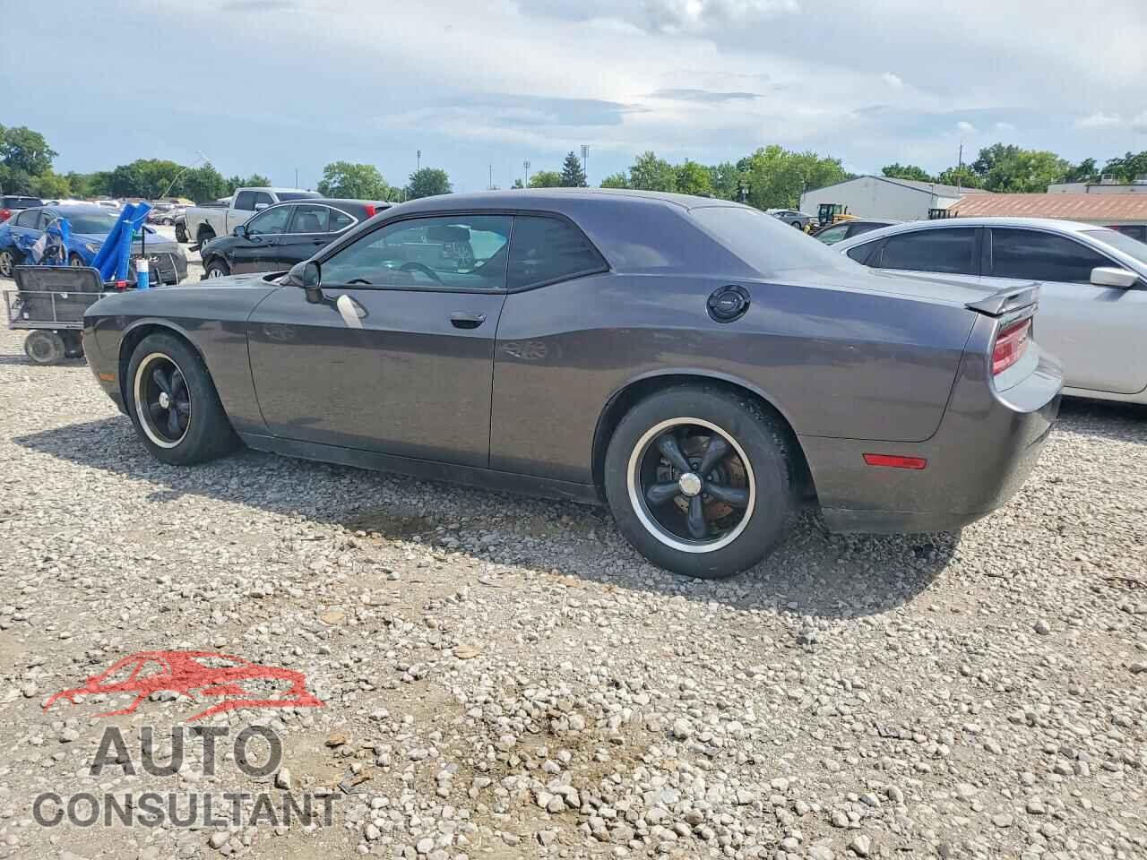 DODGE CHALLENGER 2014 - 2C3CDYBT0EH306596