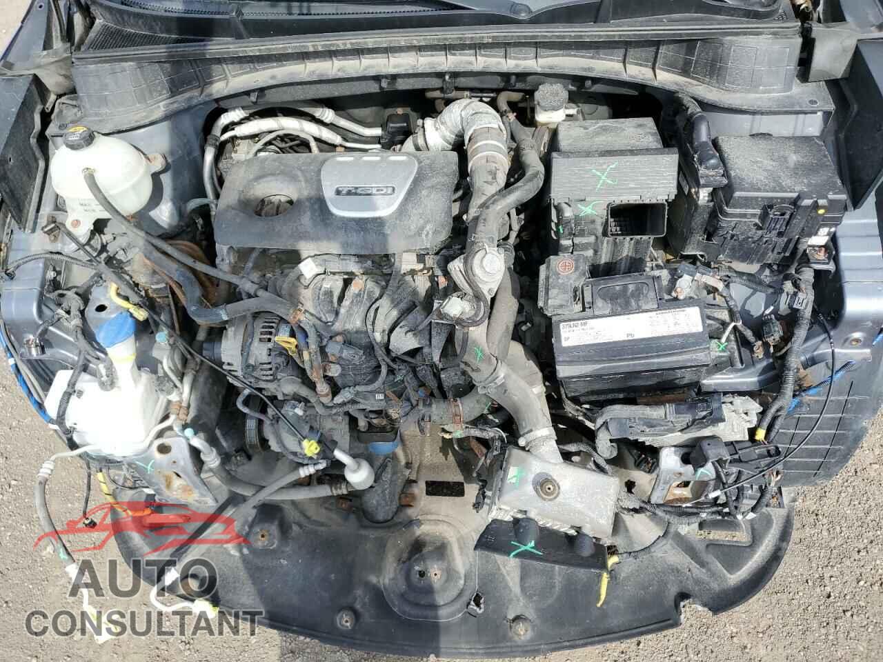 HYUNDAI TUCSON 2016 - KM8J3CA28GU086606