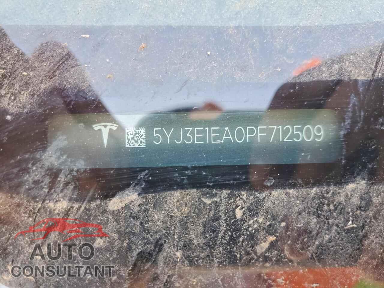 TESLA MODEL 3 2023 - 5YJ3E1EA0PF712509