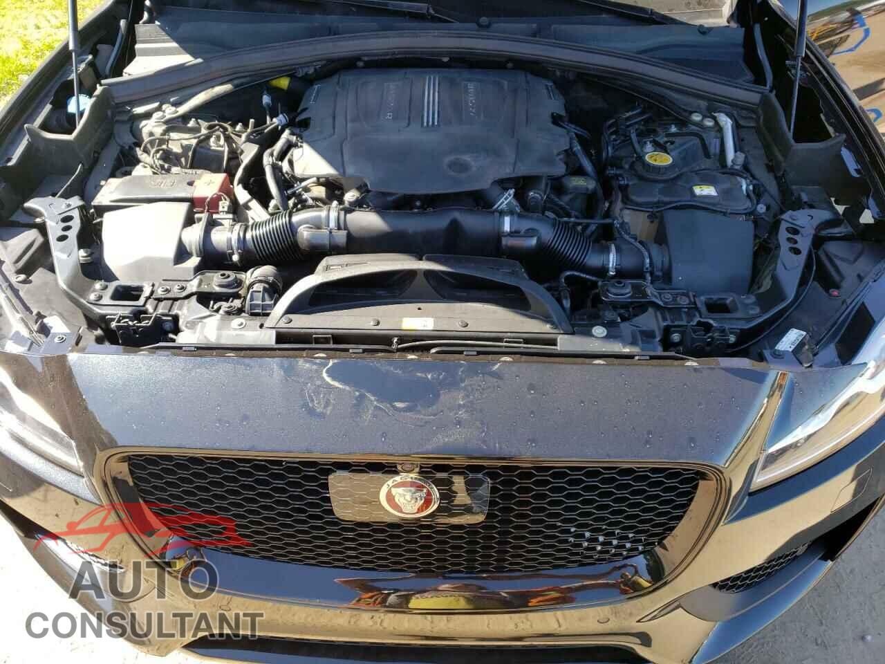 JAGUAR F-PACE 2020 - SADCM2FV2LA628113
